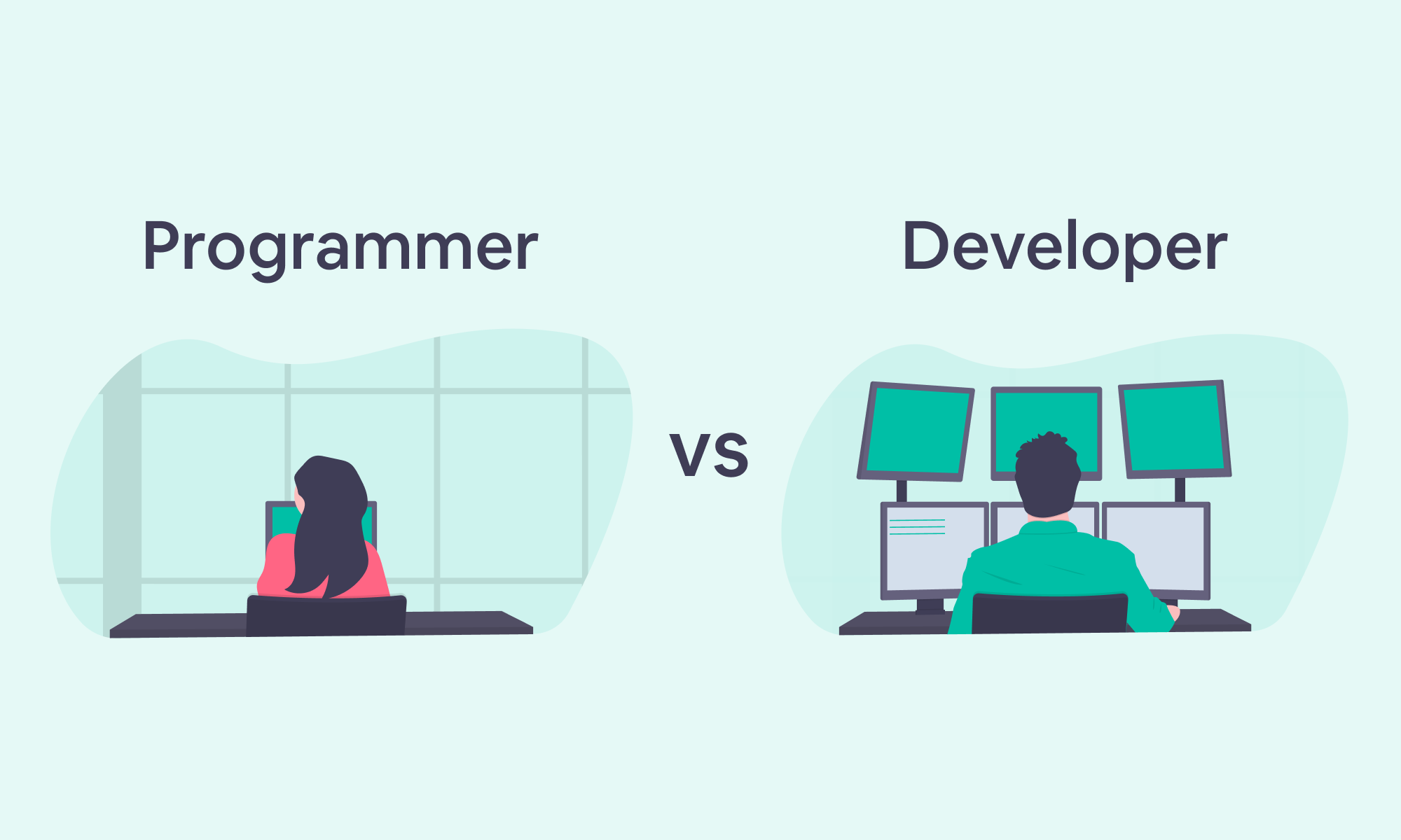 Developer and programmer what’s the difference? Study Link Classes